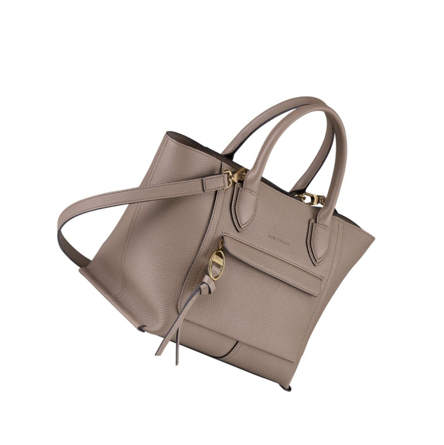 Torebki Damskie Longchamp Mailbox M Brązowe | PL-831QXSA