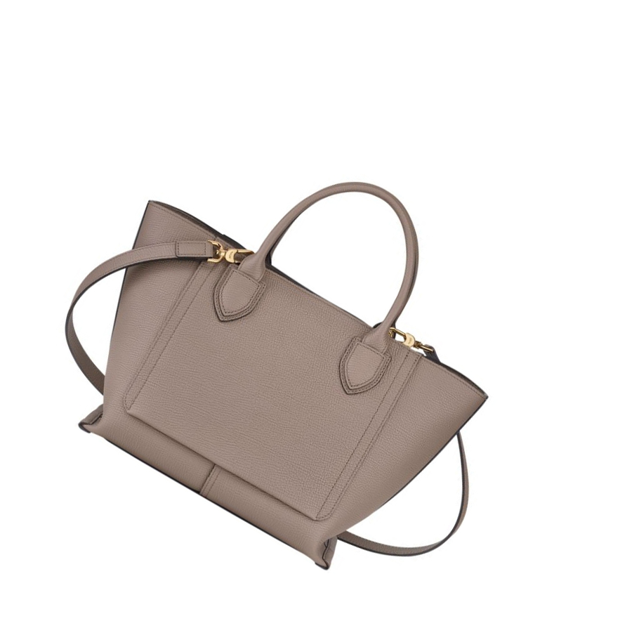 Torebki Damskie Longchamp Mailbox M Brązowe | PL-831QXSA