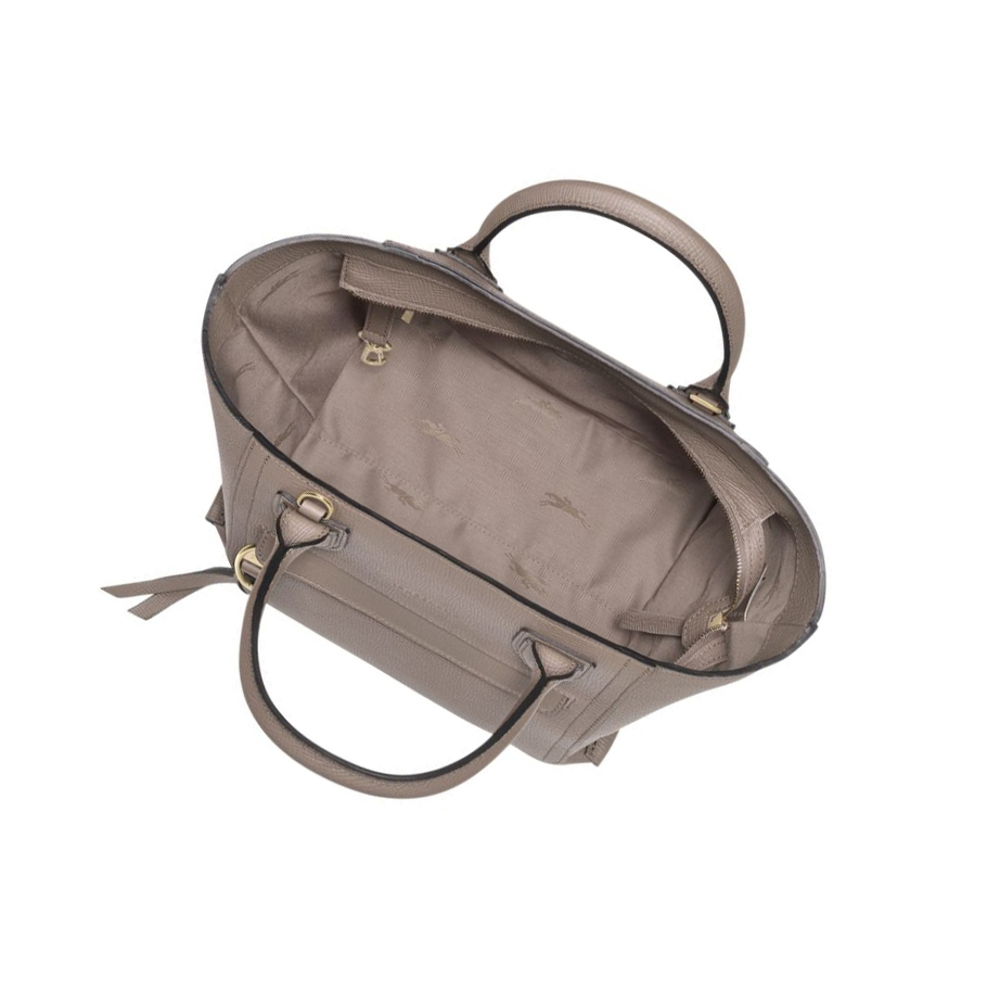 Torebki Damskie Longchamp Mailbox M Brązowe | PL-831QXSA