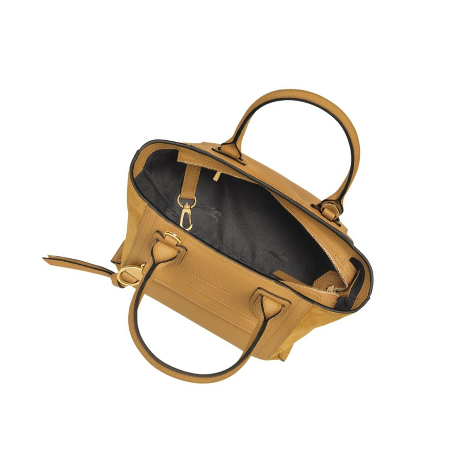 Torebki Damskie Longchamp Mailbox S Brązowe | PL-869KIQV