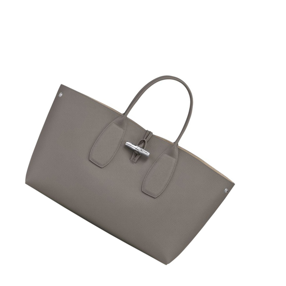 Torebki Damskie Longchamp Roseau L Szare | PL-957YNIO