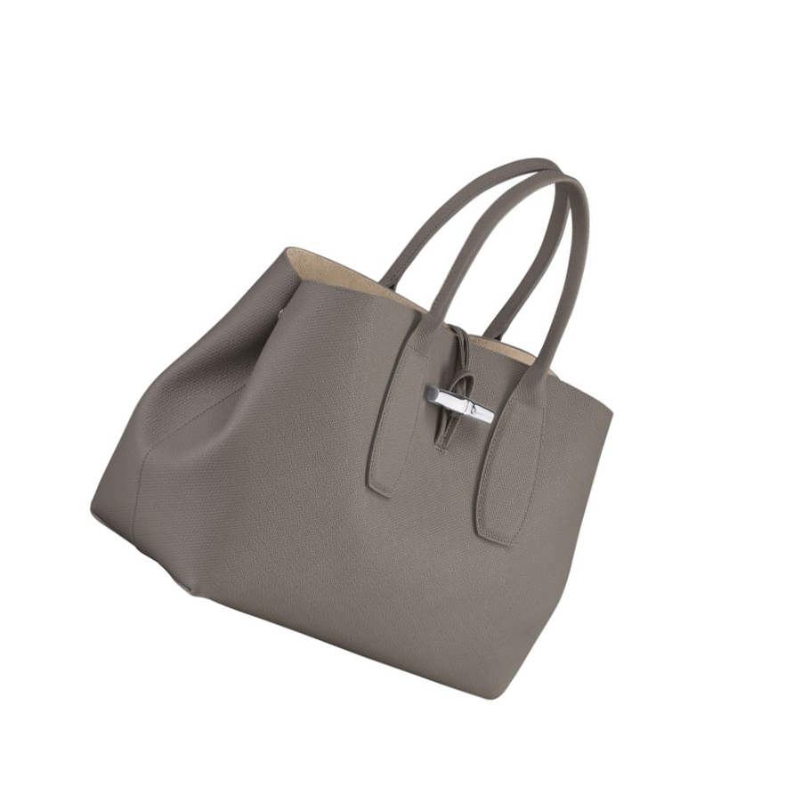 Torebki Damskie Longchamp Roseau L Szare | PL-957YNIO