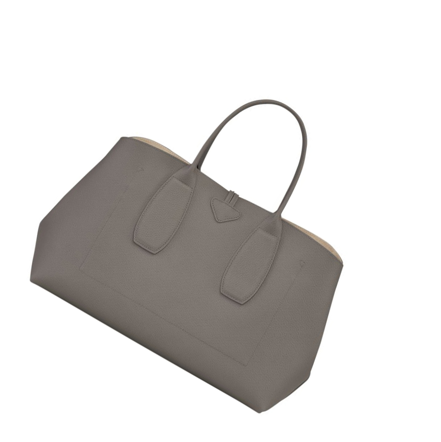 Torebki Damskie Longchamp Roseau L Szare | PL-957YNIO