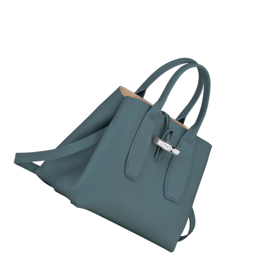 Torebki Damskie Longchamp Roseau M Niebieskie | PL-630APIN