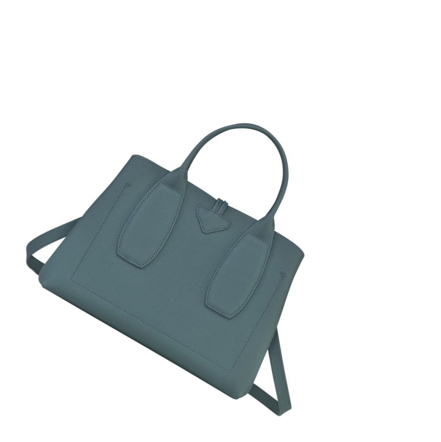 Torebki Damskie Longchamp Roseau M Niebieskie | PL-630APIN