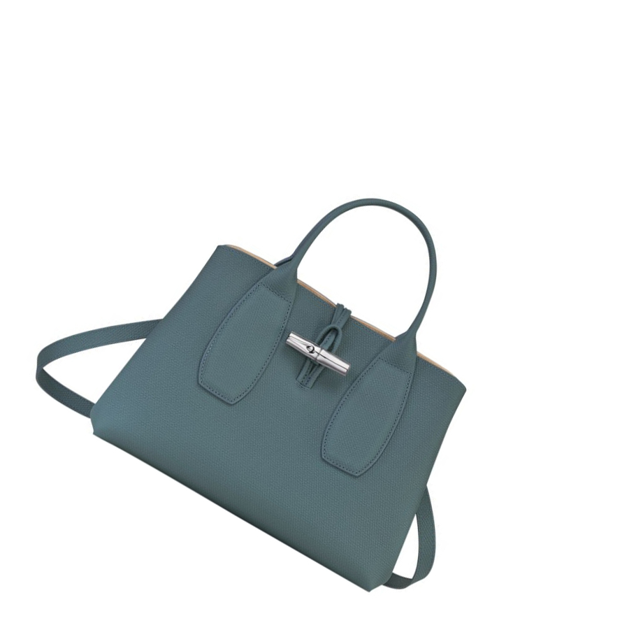 Torebki Damskie Longchamp Roseau M Niebieskie | PL-630APIN