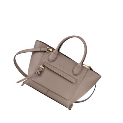 Torebki Damskie Longchamp Mailbox M Brązowe | PL-831QXSA